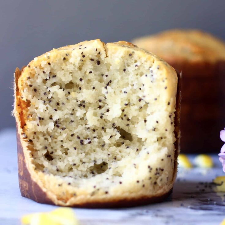 Image for Gluten-Free Vegan Lemon Poppy Seed Muffins