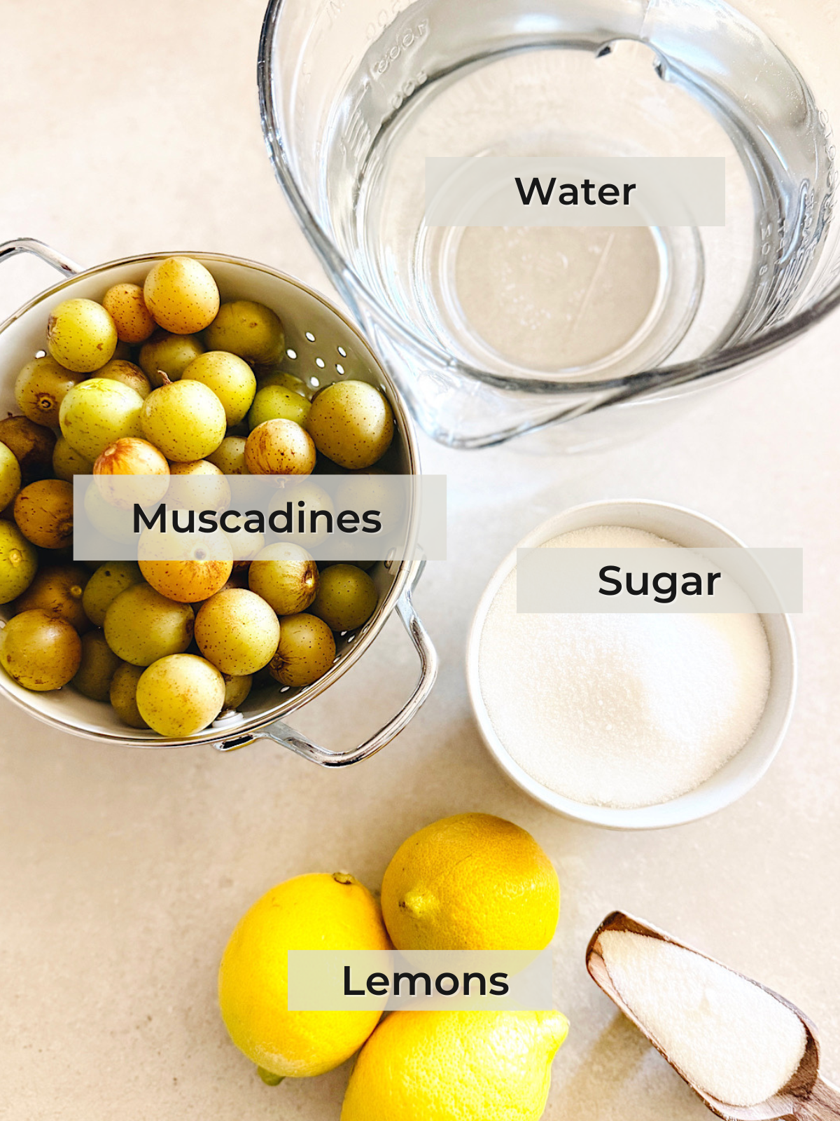 A colander of muscadines, a clear measuring cup of water, a bowl of sugar and whole lemons are arranged on a light countertop, each labeled with its name.