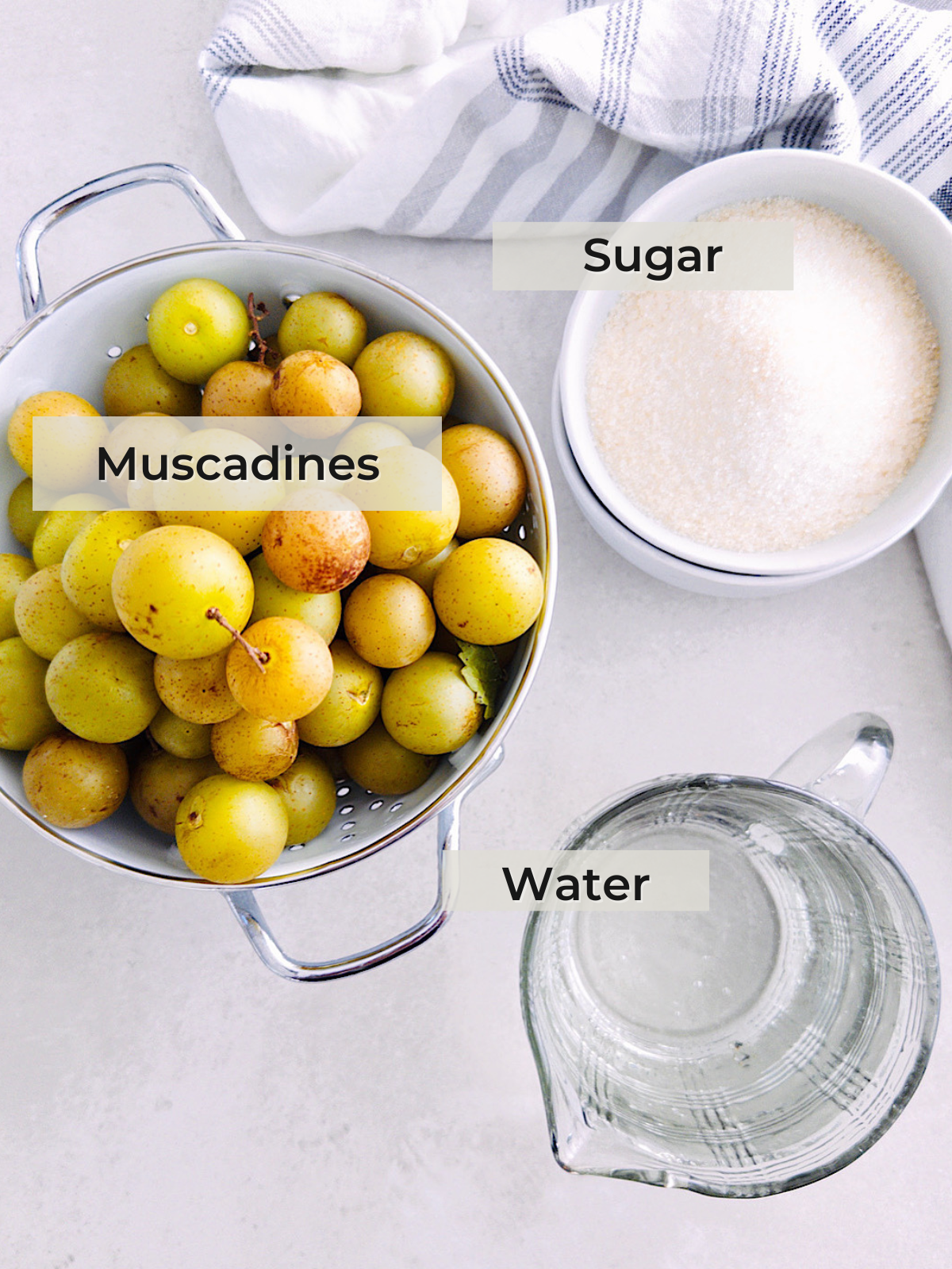 A colander filled with muscadine grapes, a bowl of sugar, and a glass measuring cup of water are arranged on a light countertop with a striped cloth in the background. Each item is labeled.
